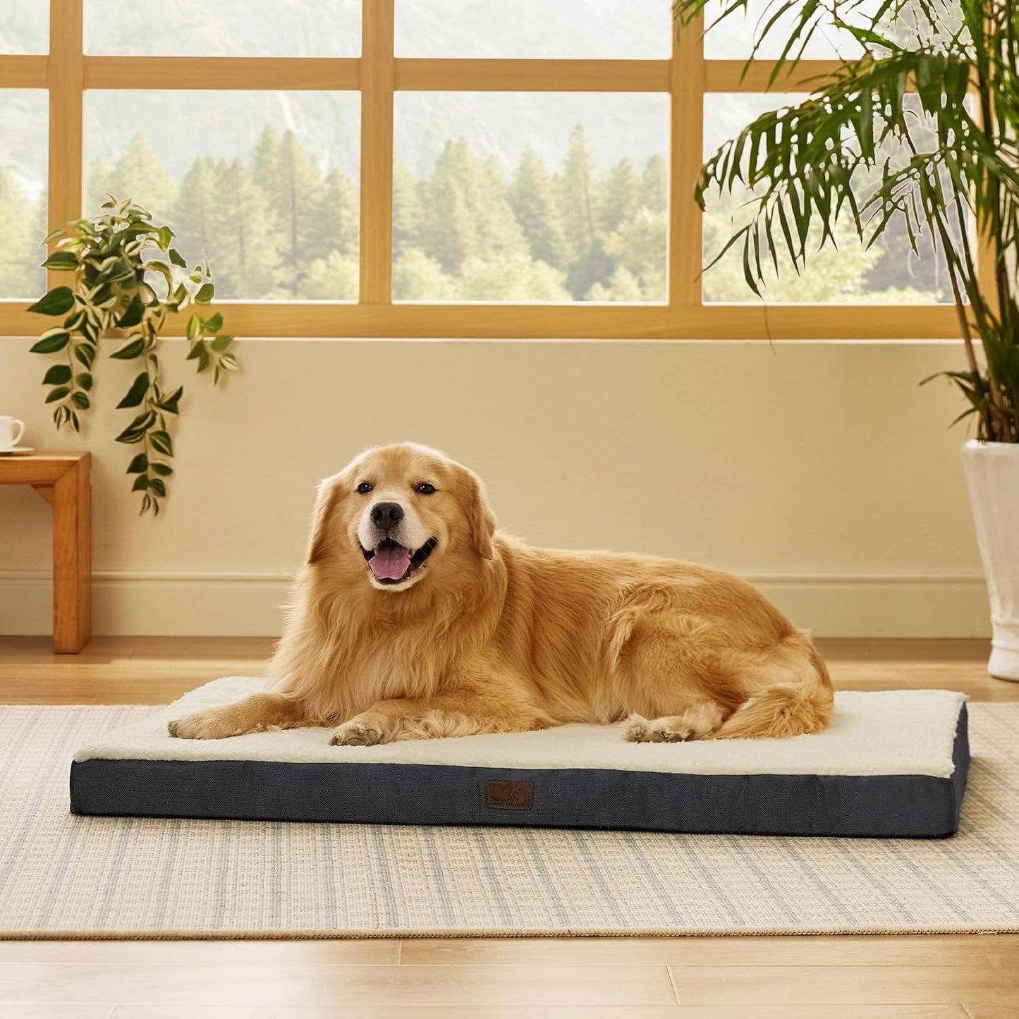 Large Dog Bed for Large Dogs up to 75Lbs - Big Orthopedic Dog Beds with Removable Washable Cover, Egg Crate Foam Pet Bed Mat, Grey