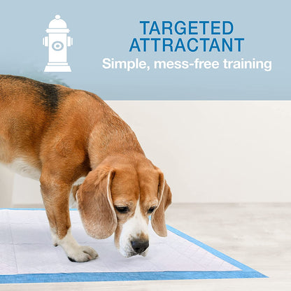 Wee-Wee Superior Performance Pee Pads for Dogs - Dog & Puppy Pads for Potty Training - Dog Housebreaking & Puppy Supplies - 22" X 23" (100 Count)